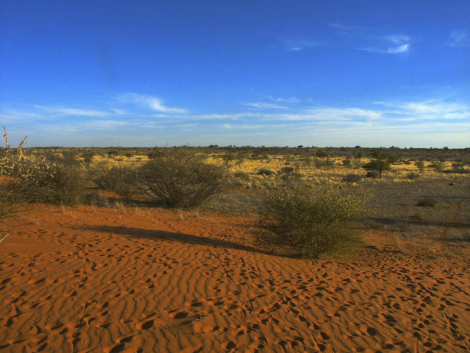 Kalahari landscape in Namibia